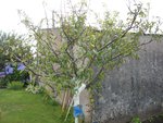 IMG_0238.jpg