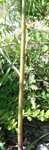 DSCN3205.JPG