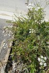 DSCN3208.JPG