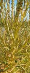 DSCN3211.JPG