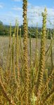 DSCN3212.JPG