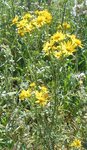 DSCN3166.JPG