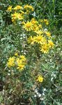 DSCN3165.JPG
