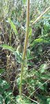 DSCN3193.JPG