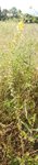 DSCN3198.JPG