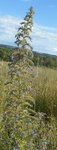 DSCN3218.JPG