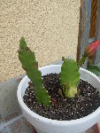 10.09.2008 053.jpg