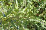 DSCN3239.JPG