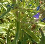 DSCN3241.JPG