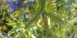 DSCN3242.JPG