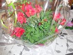 DSC09498.JPG