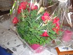 DSC09499.JPG