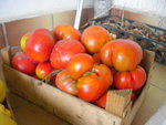 DSCN7099.JPG