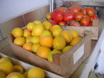 DSCN7098.JPG