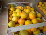 DSCN7097.JPG