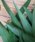 20160715_185957.jpg