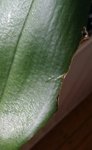 20160715_190137.jpg