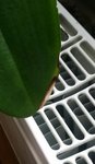 20160715_190157.jpg