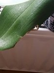20160715_190214.jpg