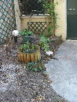 IMG_9191.jpg