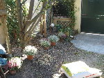IMG_9193.jpg