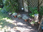 IMG_9194.jpg