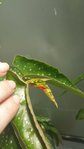 20160716_114411.jpg