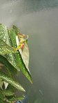 20160716_114357.jpg