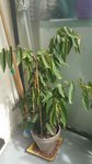 20160716_114348.jpg