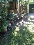 IMG_9195.jpg