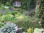 2016-07-16 FOUILLIS 1.jpg