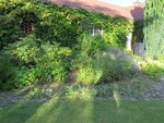 2016-07-16 gros nettoyage.jpg