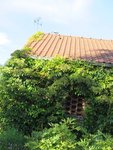 2016-07-16 en attente.jpg