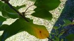 WP_20160717_002.jpg