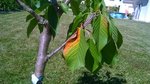 WP_20160717_003.jpg