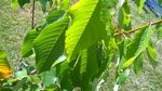 WP_20160717_005.jpg
