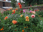 DSCF6669.jpg