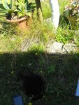 IMG_0254.jpg