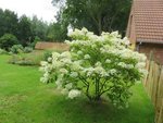 2016-07-17_I.jpg