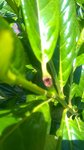 WP_20160717_007.jpg