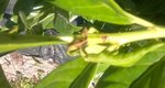 WP_20160717_009.jpg
