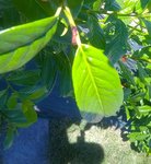 WP_20160717_008.jpg