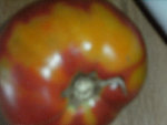 DSCF0812.jpg