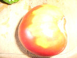 DSCF0810.jpg