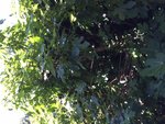 IMG_3492.JPG