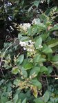20160717_144629.jpg