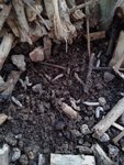 20160719_210457.jpg