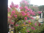 DSCN7119.JPG