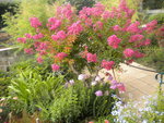 DSCN7131.JPG