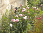 DSCN7127.JPG